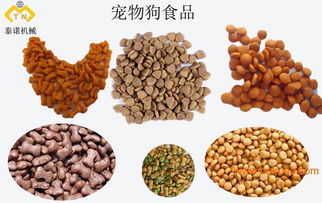一站式解決方案 操作簡單的寵物食品生產(chǎn)線與飼料設備加工基地